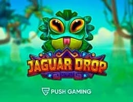 Imagem do jogo Jaguar Drop no 166bet